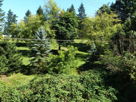 As one heads south from Gresham, woods give in to fields, orchards... As one heads south from Gresham, woods give in to fields, orchards...
